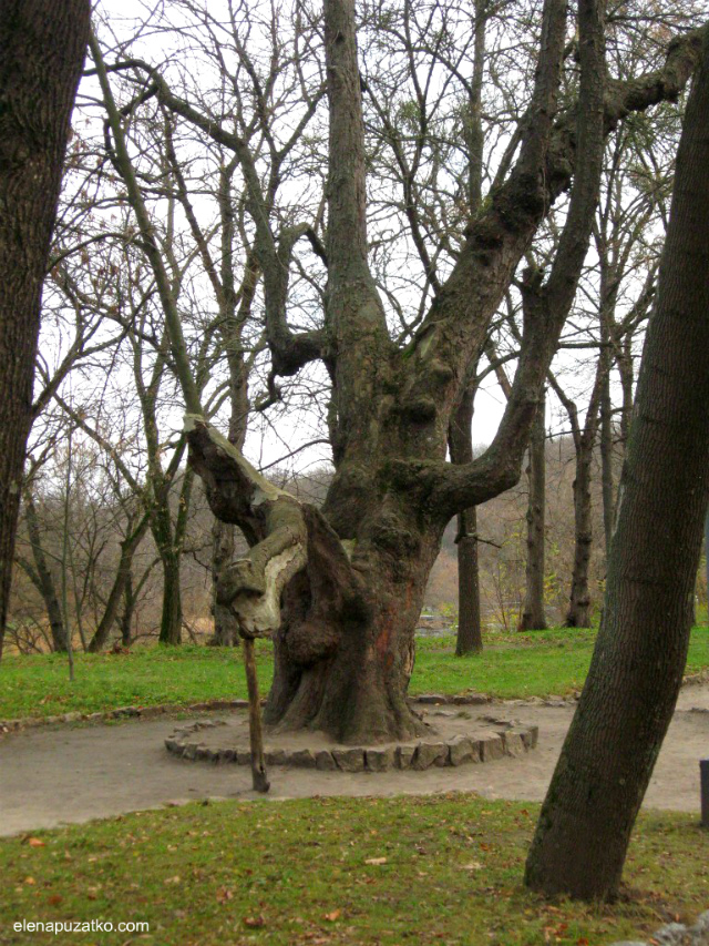 корсунь шевченківський путівник україна фото 17