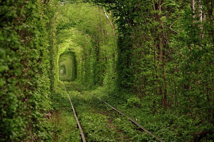 “Туннель любви” находится в пгт Клевань, Ровенская область, Украина.