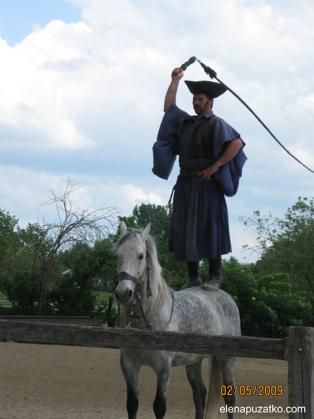 конное шоу будапешт венгрия фото 8