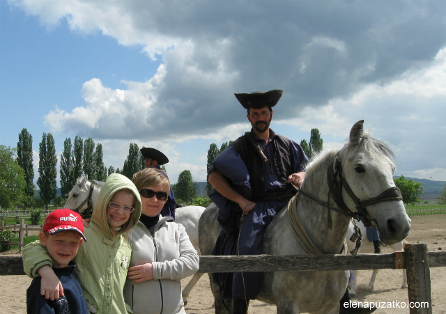 конное шоу будапешт венгрия фото 6