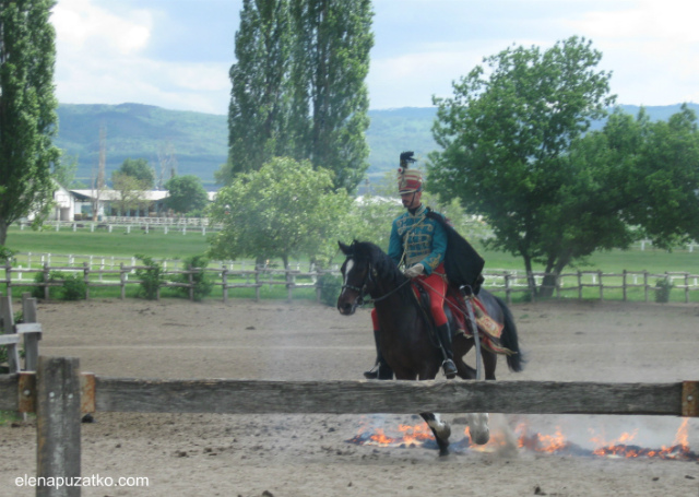 конное шоу будапешт венгрия фото 10