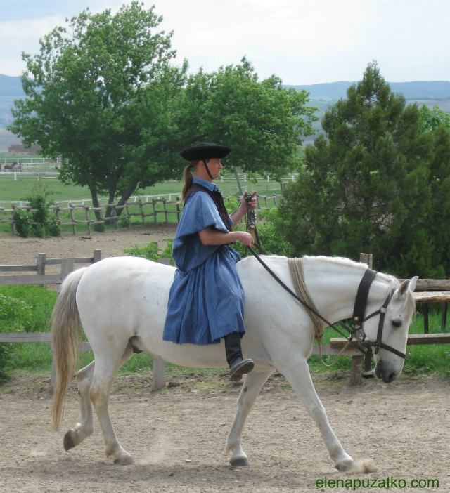 конное шоу будапешт венгрия фото 1 