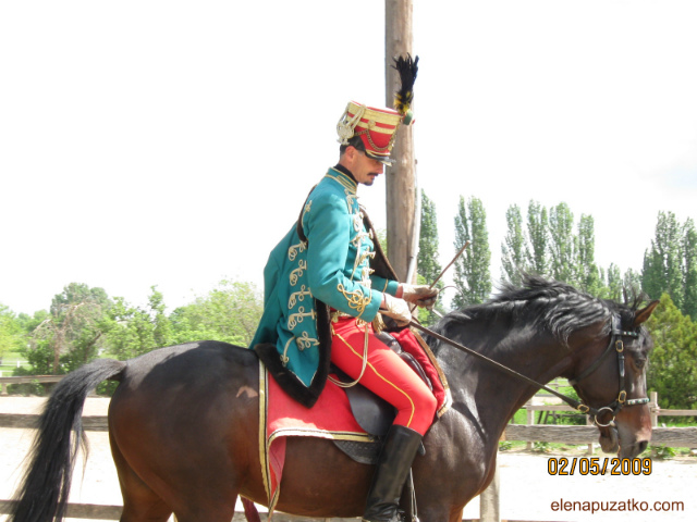 конное шоу будапешт венгрия фото 2 