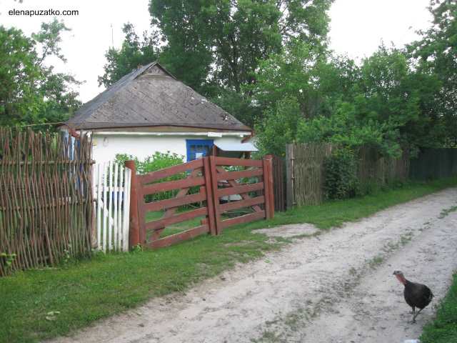 отдых в киевской области зеленый туризм богуслав фото 6