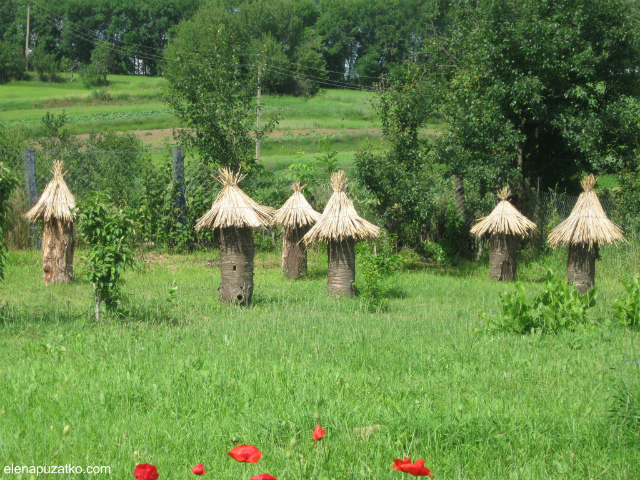 отдых в киевской области зеленый туризм киевская область богуслав фото 25