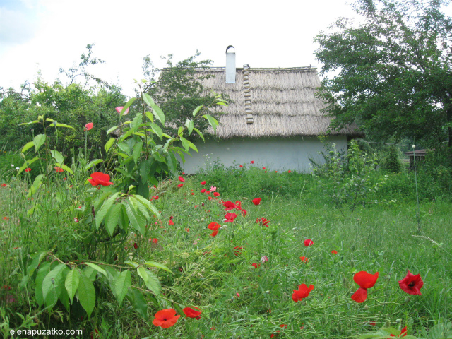 отдых в киевской области зеленый туризм киевская область богуслав фото 26