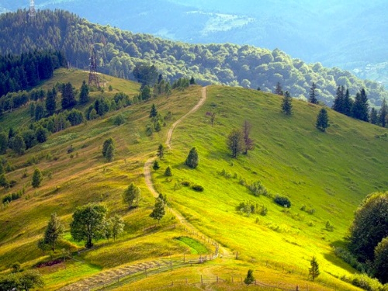 Самые интересные фестивали июля в Украине