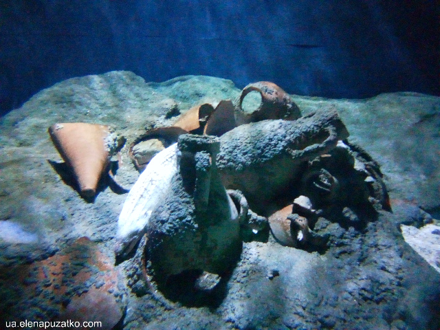 аквариум флория стамбул фото 7