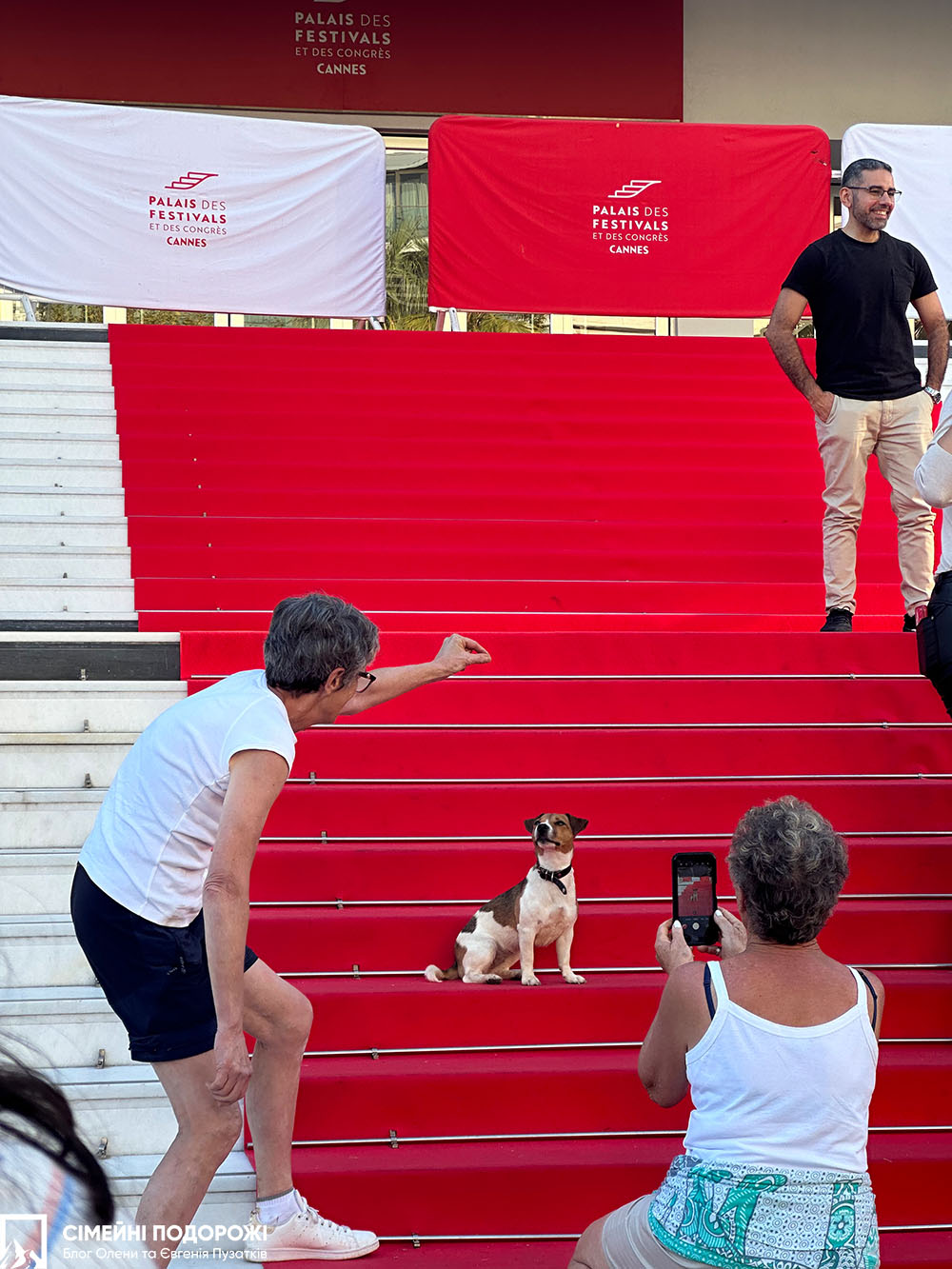 Канны за 1 день. Красная дорожка Дворца фестивалей