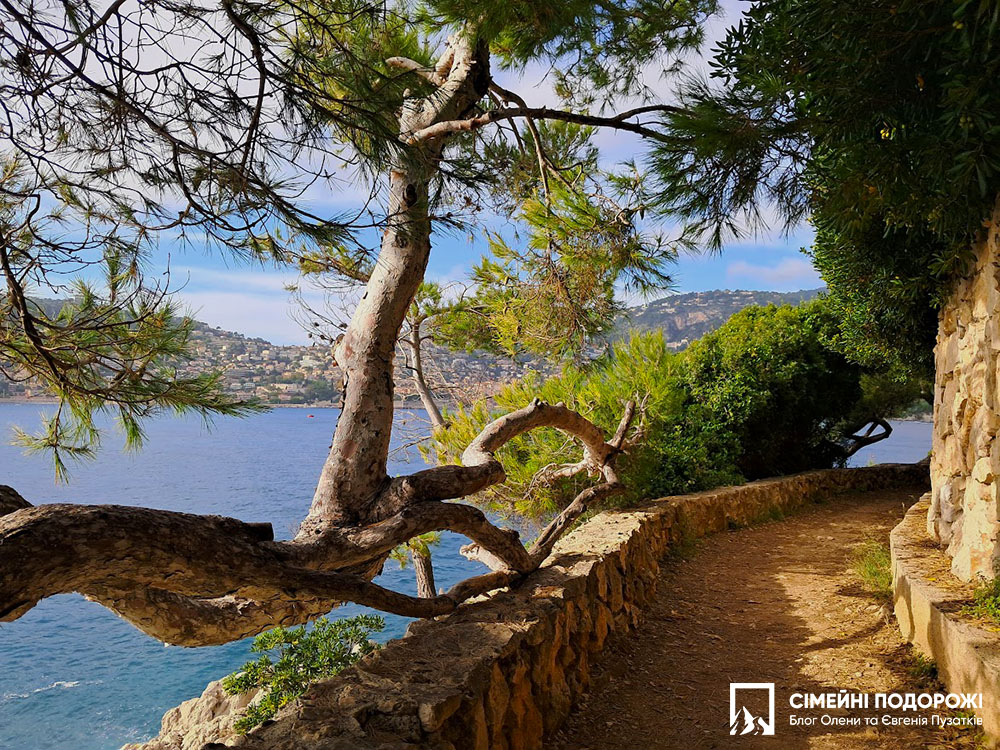 Сен-Жан-Кап-Ферра за 1 день. Сосни і море на стежці Sentier du Littoral 