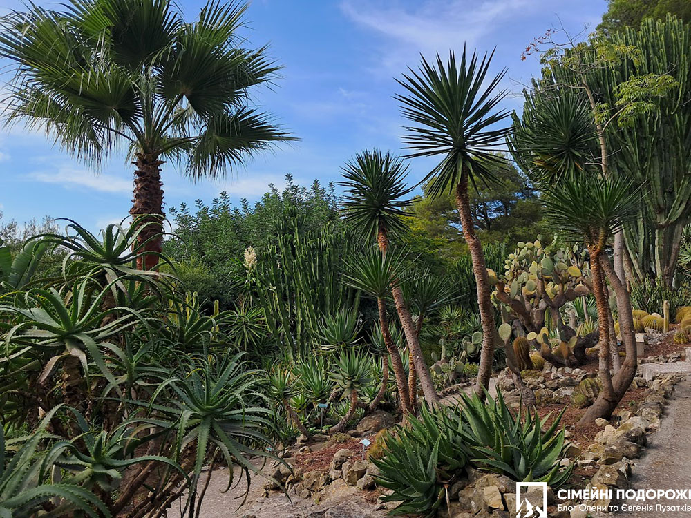 Сен-Жан-Кап-Ферра Вілла Ефруссі. Сад кактусів.