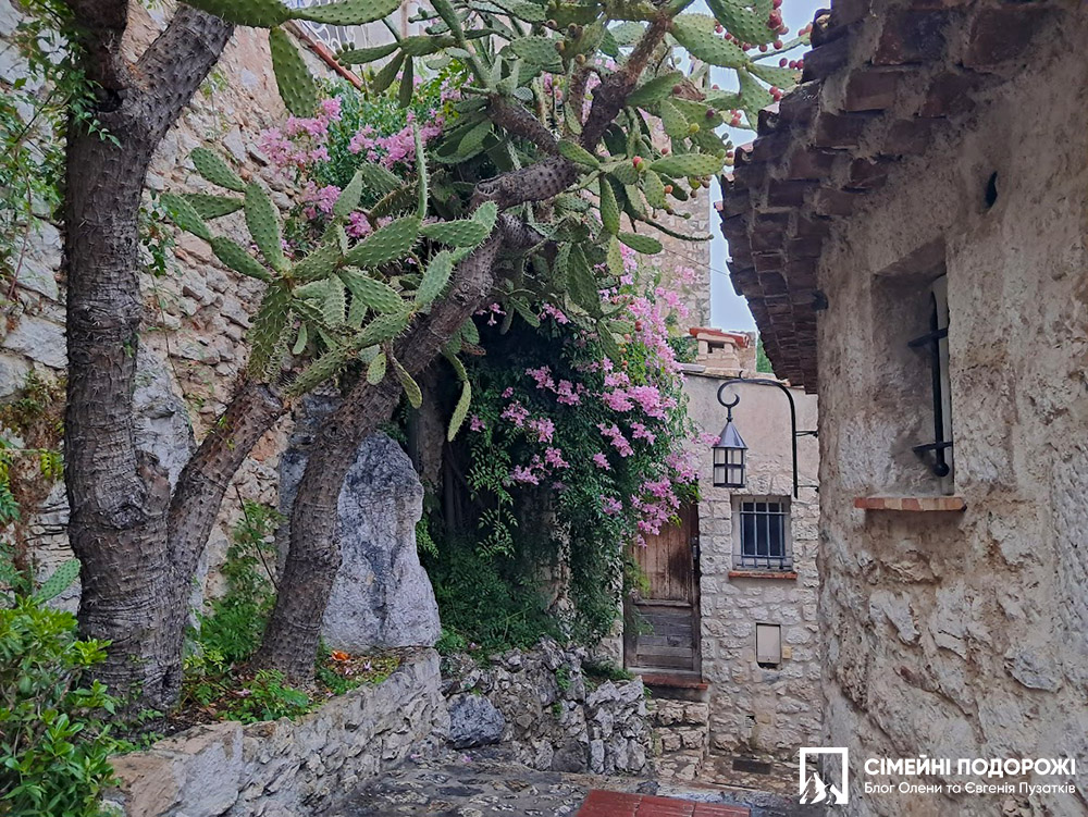 Таким Эз вы еще не видели: дождливый, туманный и загадочный.