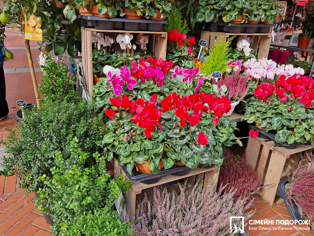Marché de la Condamine - атмосферний ринок в Монако