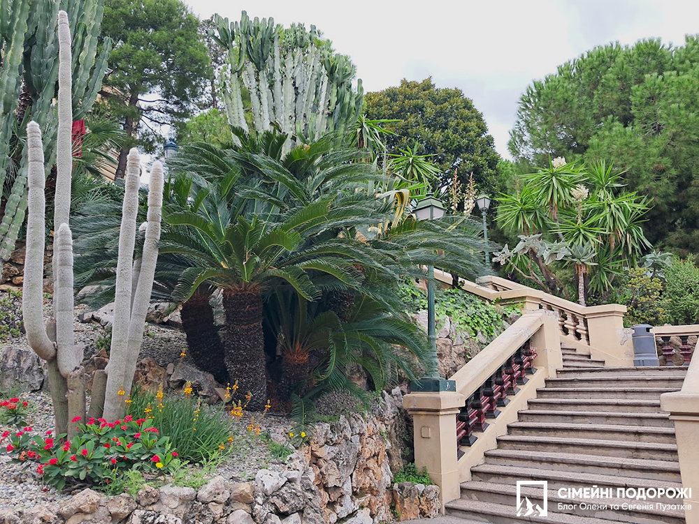 Buddha-Bar Monte-Carlo. Монако за 1 день