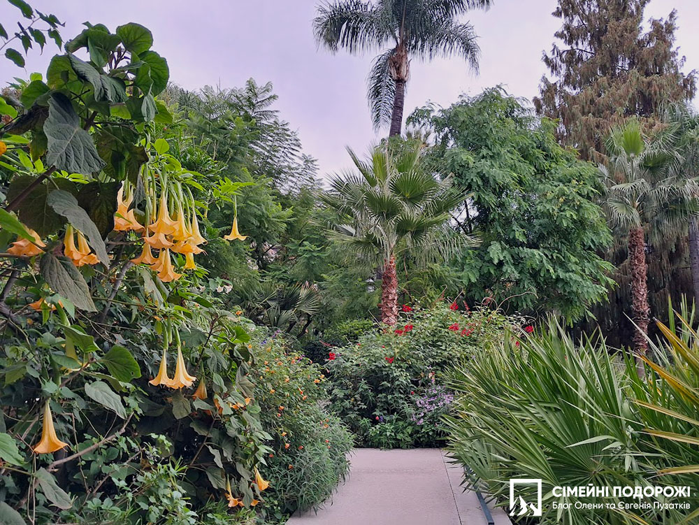 Сади Монте Карло. Що подивитись в Монако за 1 день