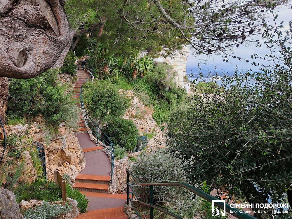 Монако за 1 день. Сади Сен-Мартін