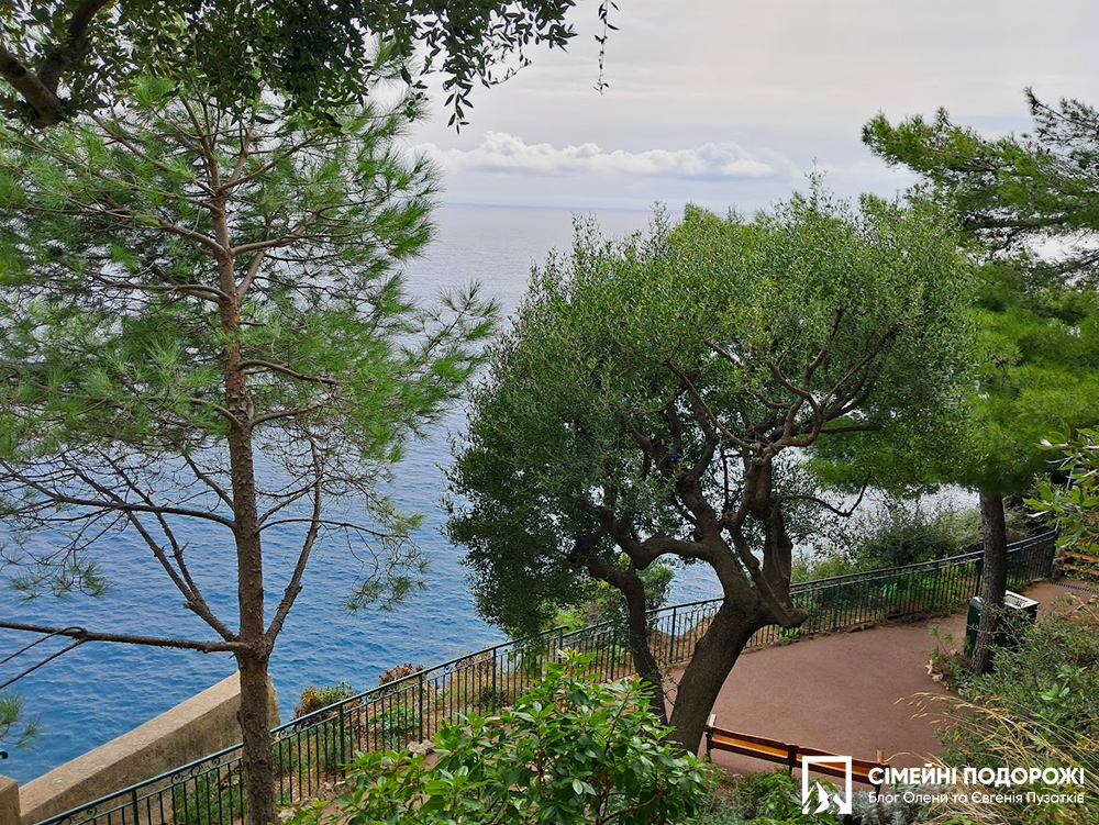 Монако за 1 день. Сади Сен-Мартін на Скелі