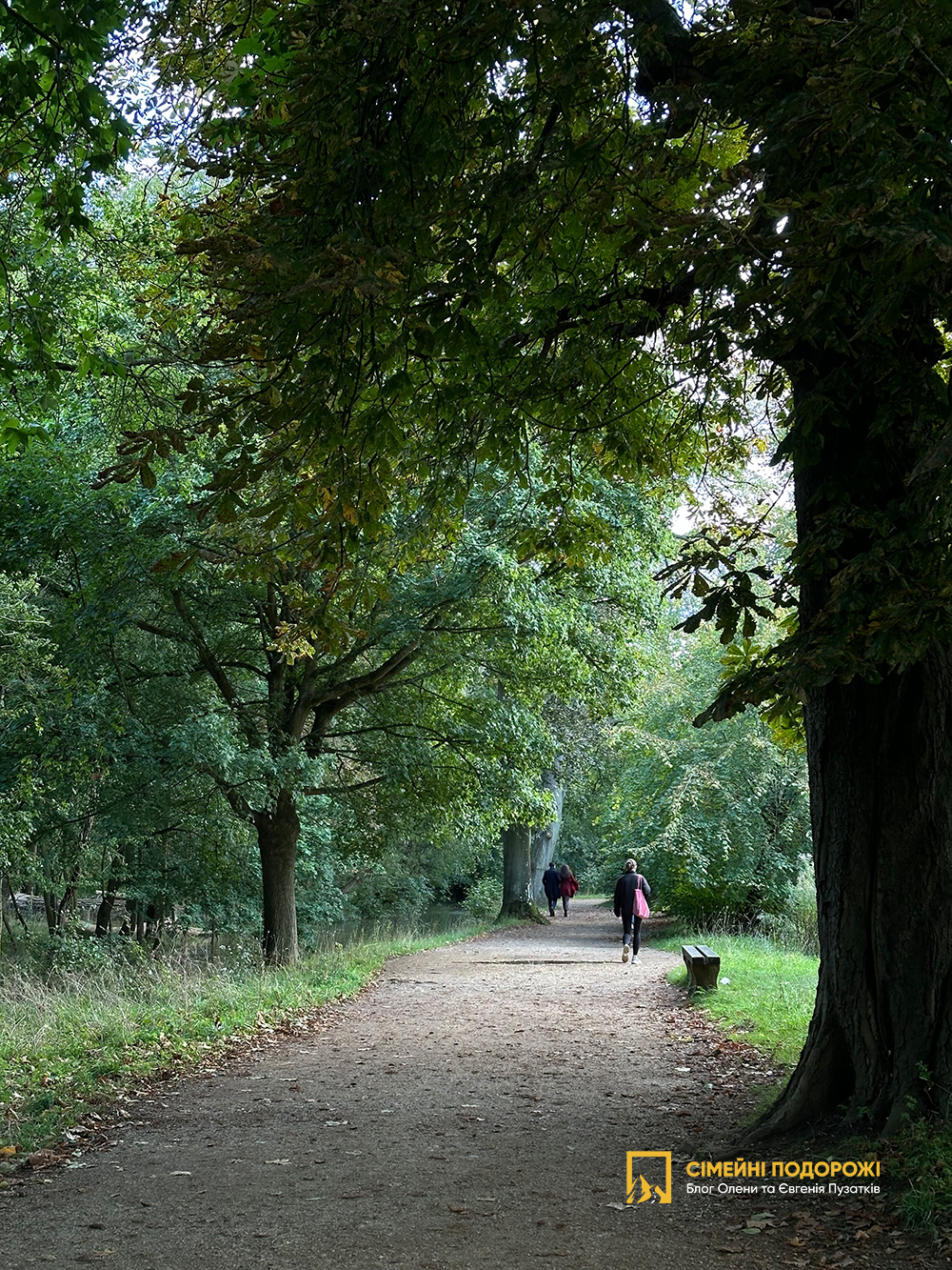 Оксфорд за 1 день. Christ Church Meadow.